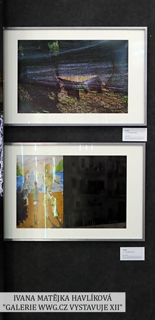 GALERIE WWG.CZ XII - IVANA MATĚJKA HAVLÍKOVÁ